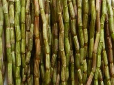 Dendrobium stem boosts men's overall well-being by supporting prostate health, muscle vitality, stress reduction, and libido.