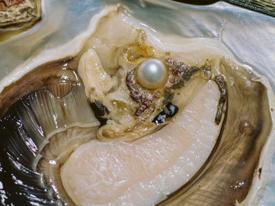 With curiosity as your compass, we invite you to indulge in Për Në’s guide to aphrodisiac foods.