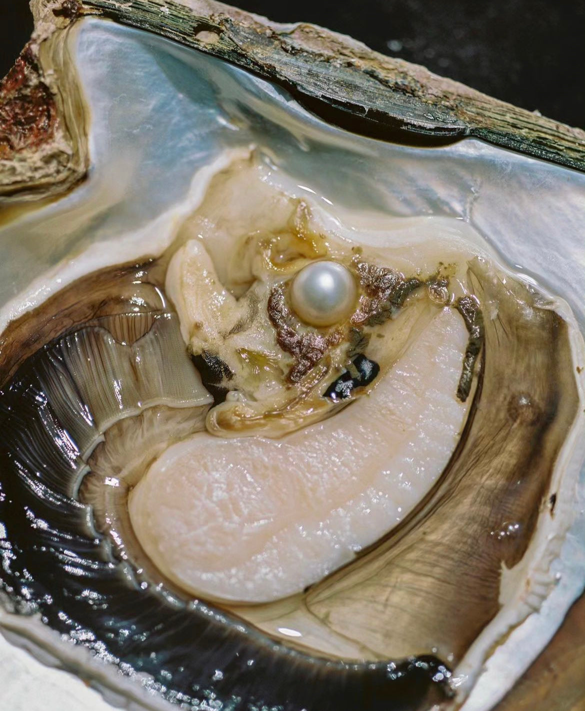 With curiosity as your compass, we invite you to indulge in Për Në’s guide to aphrodisiac foods.